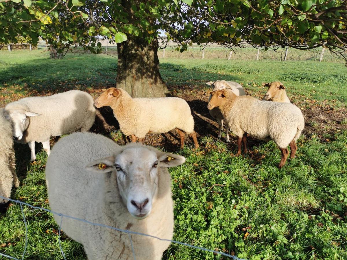 Ferienhof Stobbe Grube Exteriér fotografie