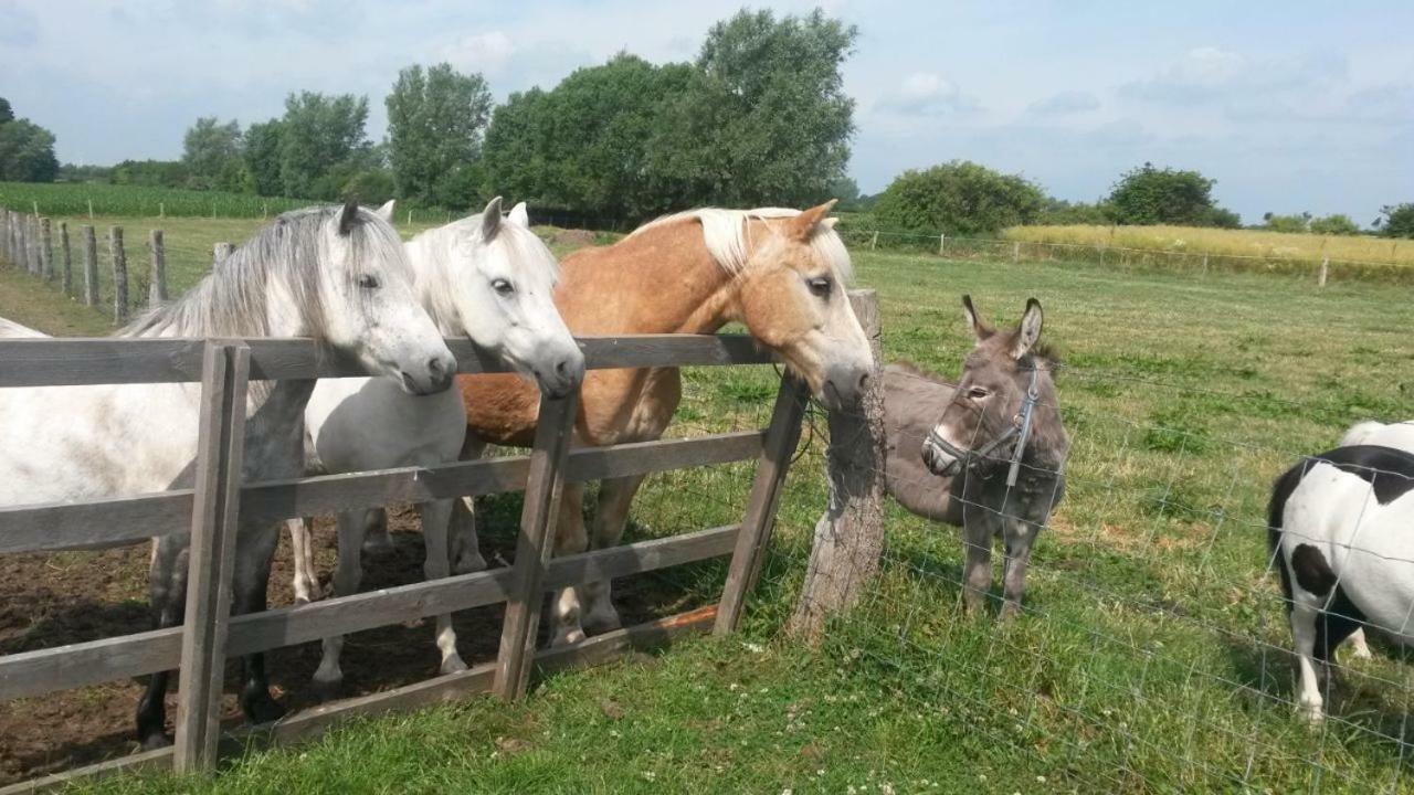 Ferienhof Stobbe Grube Exteriér fotografie